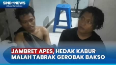 Jambret Apes, Hendak...