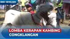 Tradisi Unik! Perlombaan...