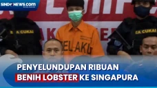 Penyelundupan Benih...