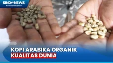 Mengenal Kopi Gayo,...