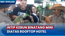 Unik ! Kebun Binatang...