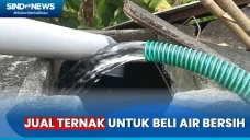 Alami Kekeringan, Warga...