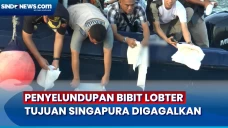 Penyelundupan Bibit...