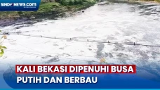 Kali Bekasi Dipenuhi...