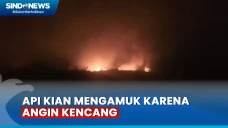 Lahan Kosong di Muarojambi...