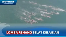 TNI AL Gelar Lomba Renang...