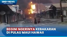Ngerinya Kebakaran di...