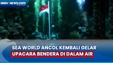 Sea World Ancol Kembali...