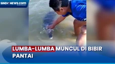 Warga Sampang Dikagetkan...