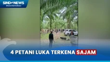 Petani Sawit di Lampung...