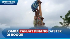 Lomba Panjat Pinang...