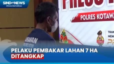 Pelaku Pembakar Lahan...