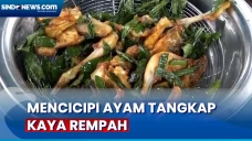 Mencicipi Ayam Tangkap...