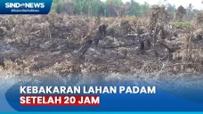 Angin Kencang, Kebakaran...