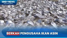 Musim Kemarau Jadi Berkah...