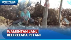 Harga di Tanjab Barat...