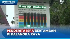 Dampak Karhutla di Palangka...