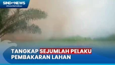 Dansatgas Karhutla Sebut...