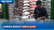 Dampak Musim Kemarau,...