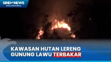 Kebakaran Landa Hutan...