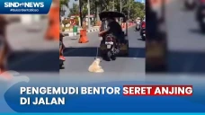 Heboh! Pengemudi Bentor...