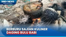 Berburu Kuliner Daging...