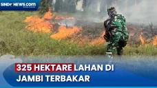 Total Lahan 325 Hektare...