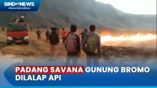 Kebakaran Padang Savana,...