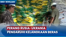 Antisipasi Kelangkaan...