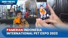 Pengunjung dan Pecinta...