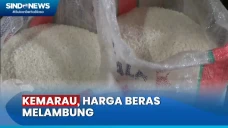 Harga Beras Melambung...