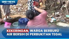 Terdampak Kekeringan,...