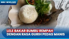 Sedapnya Lele Bakar...