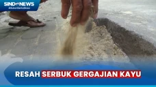 Serbuk Gergajian Kayu...