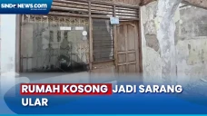 Meski jadi Sarang Ular,...