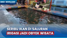 Kreatif dan Unik, Begini...