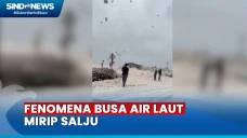 Busa Air Laut Mirip...