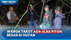 Nenek Hilang di Hutan...