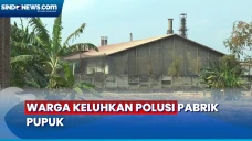 Polusi Pabrik Pupuk,...