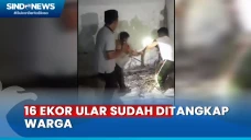 Warga Kembali Tangkap...