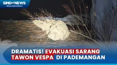 Petugas Damkar Evakuasi...