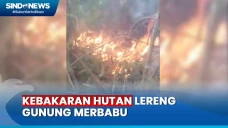 Aksi Petugas Gabungan...