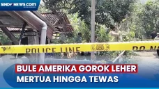 Bule Amerika Gorok Leher...