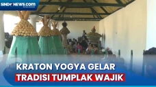 Kraton Yogya Gelar Tradisi...