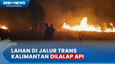 Lahan di Jalur Trans...