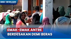 Demi Beras Gratis, Ratusan...