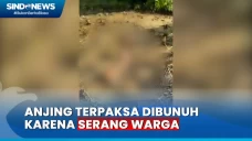 Gigit 23 Orang Warga,...