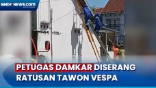 Petugas Damkar Diserang...