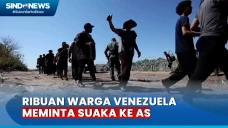 Ribuan Migran Venezuela...