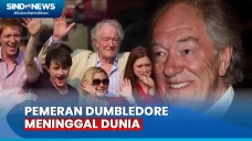 Pemeran Dumbledore dalam...